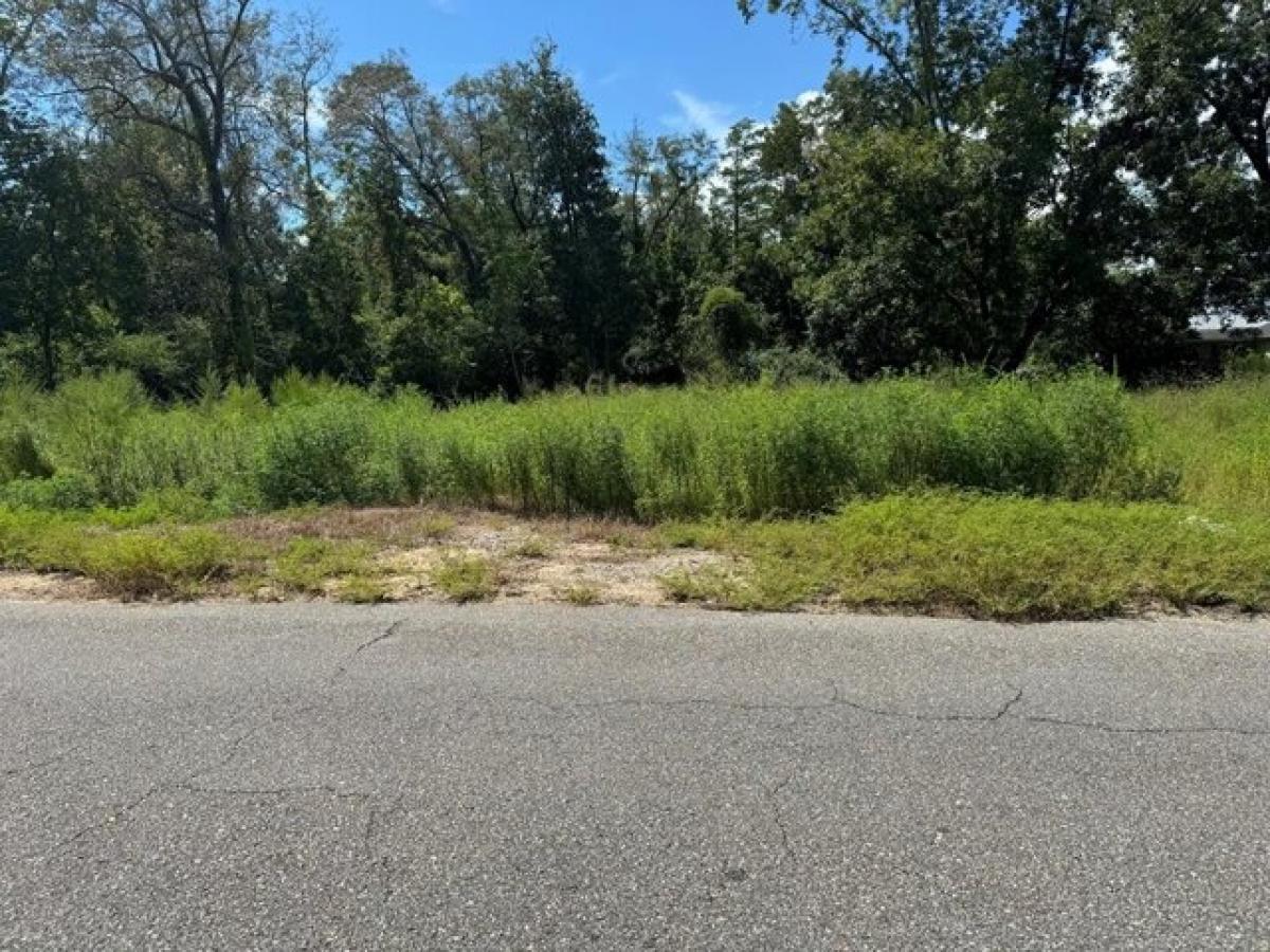 Picture of Residential Land For Sale in Cottonwood, Alabama, United States