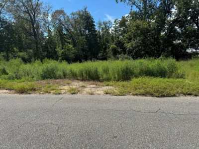 Residential Land For Sale in Cottonwood, Alabama