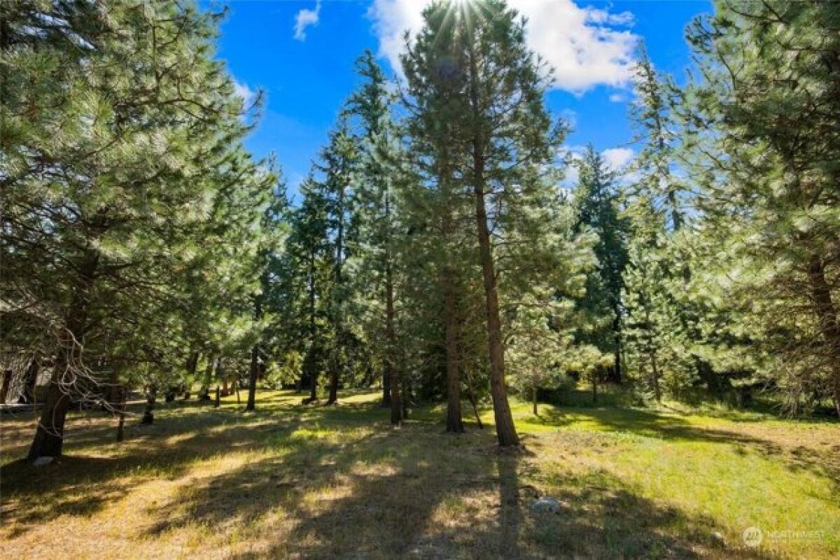 Picture of Residential Land For Sale in Cle Elum, Washington, United States