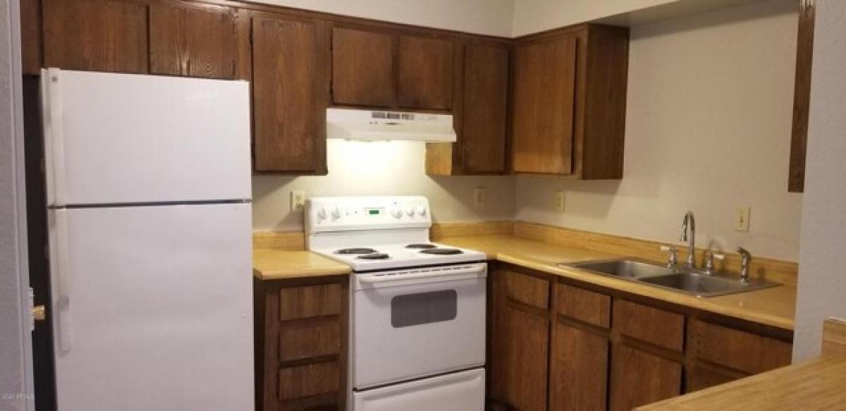 Picture of Apartment For Rent in Mesa, Arizona, United States