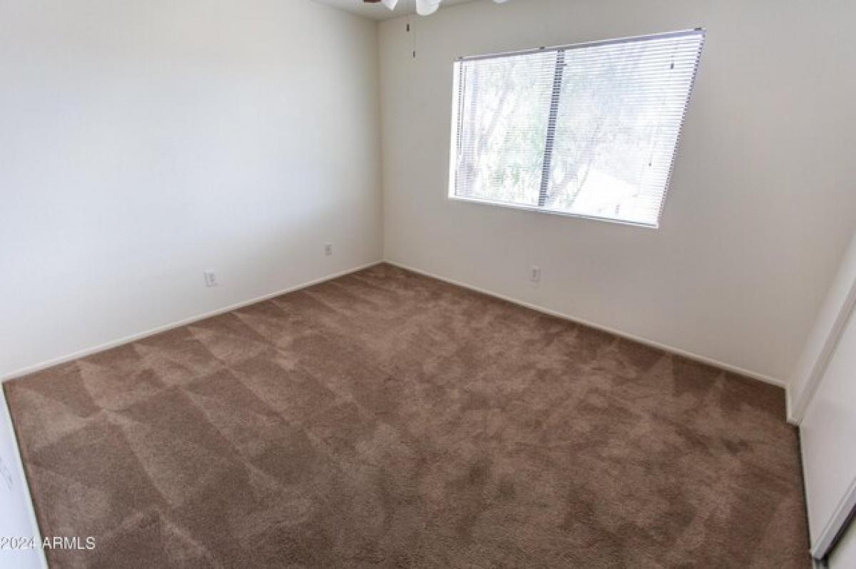 Picture of Apartment For Rent in Tempe, Arizona, United States