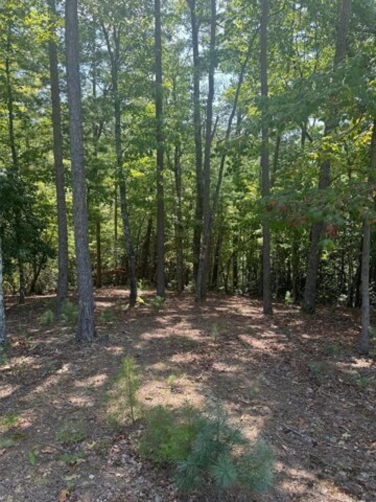 Picture of Residential Land For Sale in Murphy, North Carolina, United States