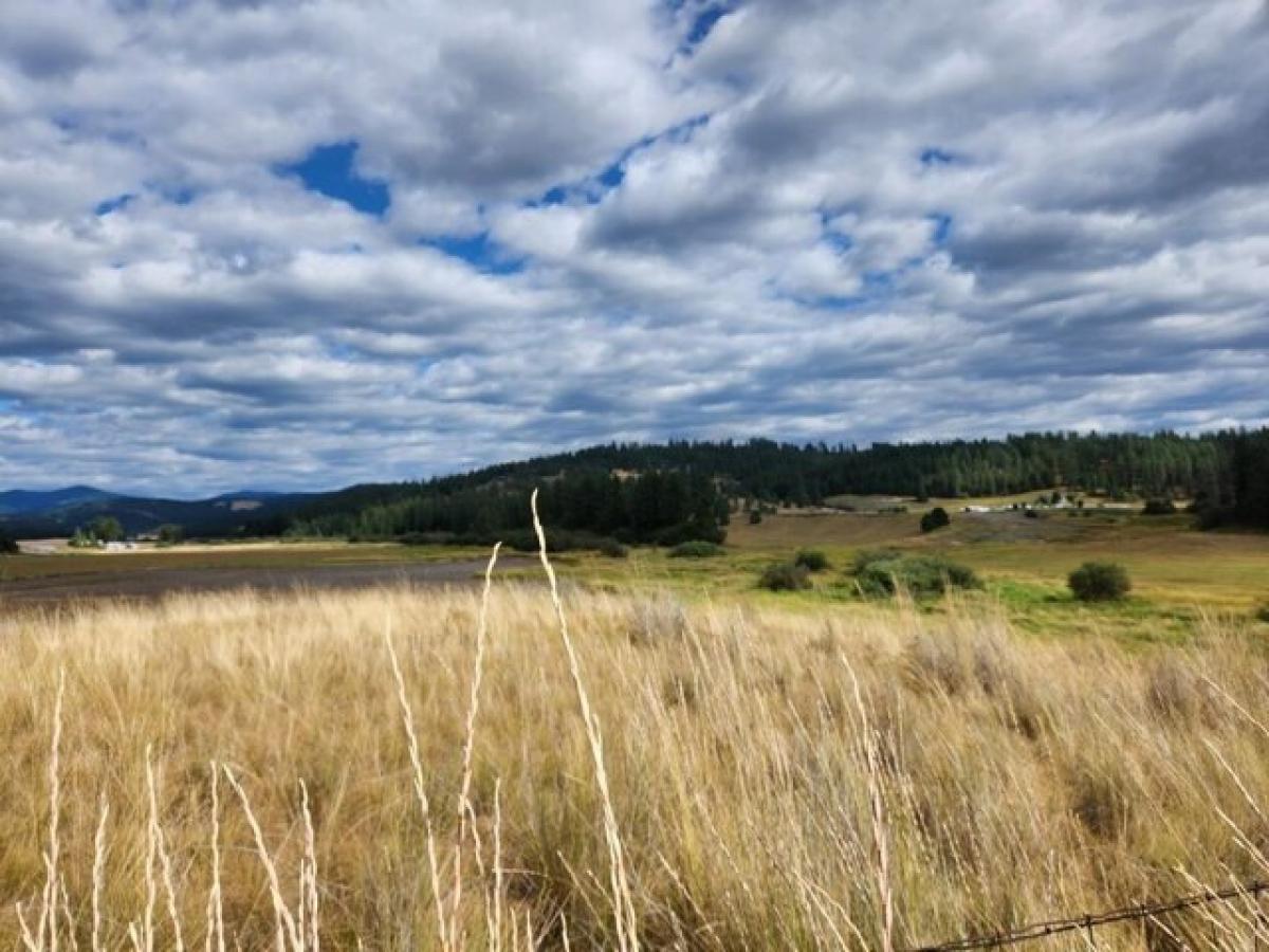 Picture of Residential Land For Sale in Mead, Washington, United States