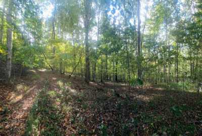 Residential Land For Sale in 