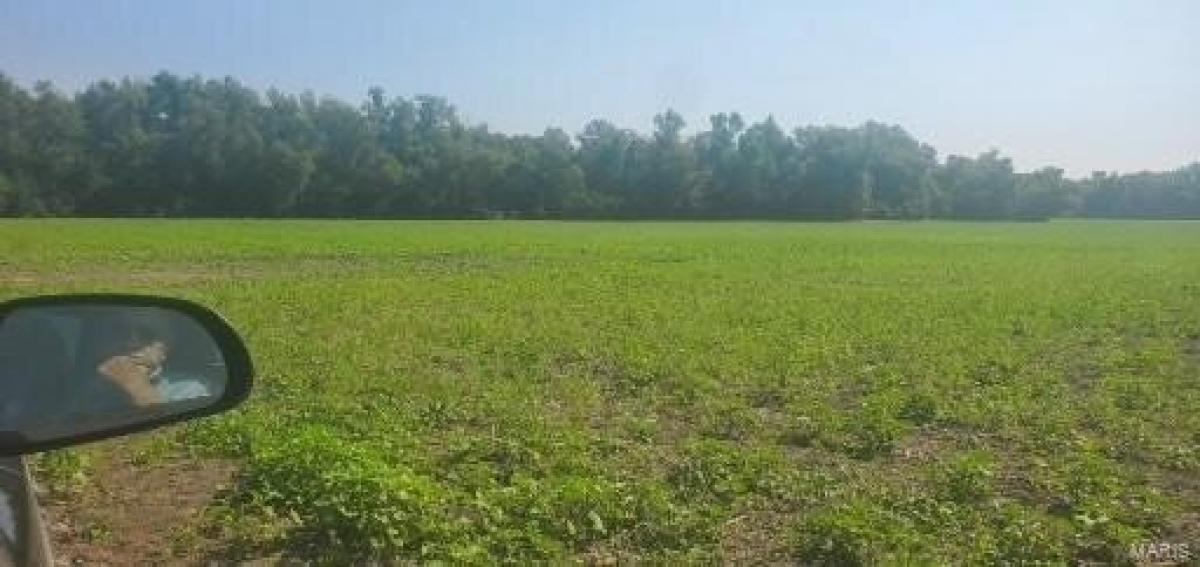 Picture of Residential Land For Sale in Fults, Illinois, United States