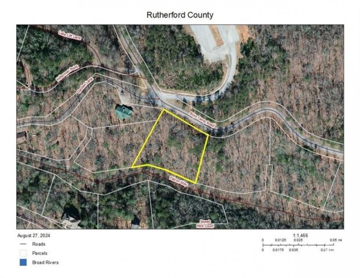 Picture of Residential Land For Sale in Lake Lure, North Carolina, United States