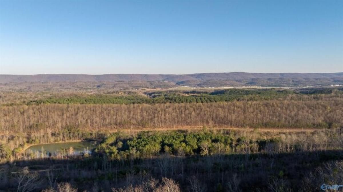 Picture of Residential Land For Sale in Fort Payne, Alabama, United States