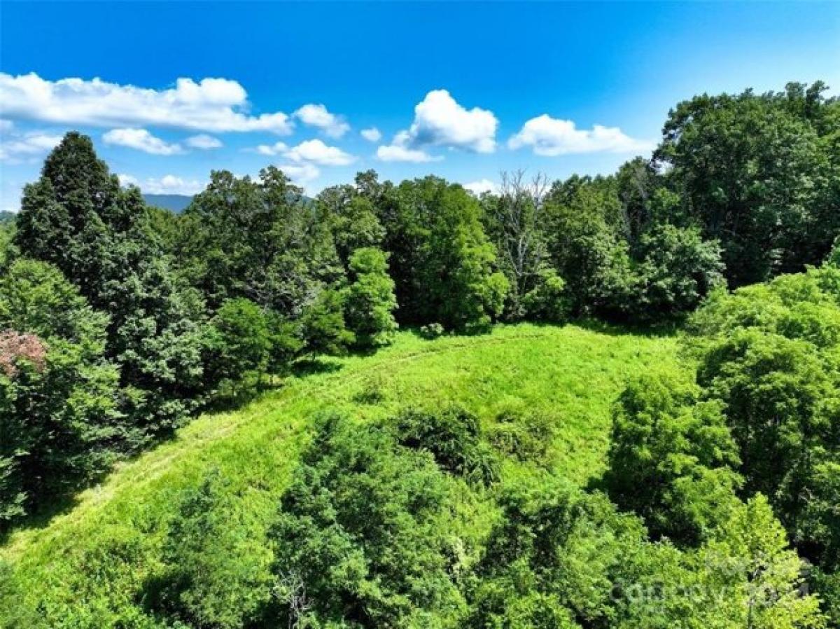 Picture of Residential Land For Sale in Green Mountain, North Carolina, United States