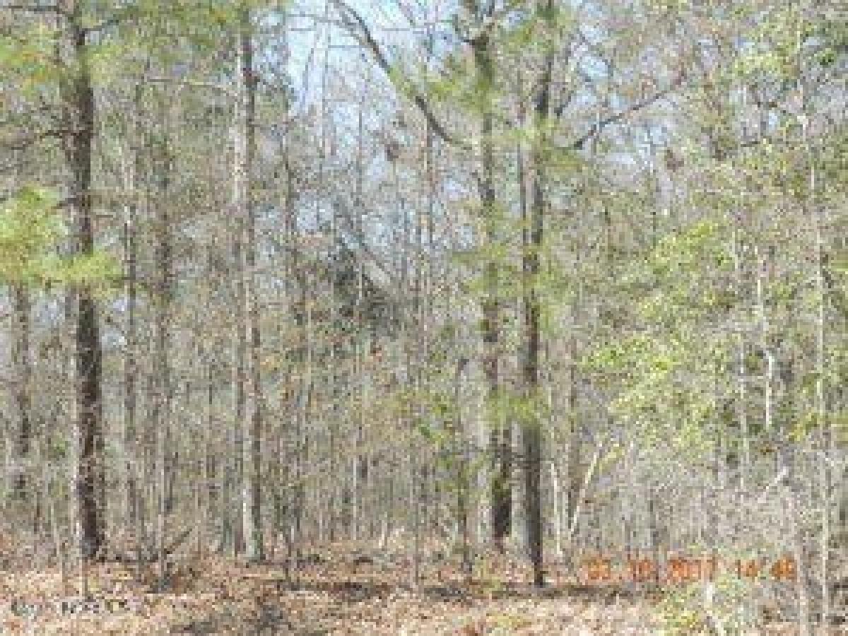 Picture of Residential Land For Sale in Laurinburg, North Carolina, United States