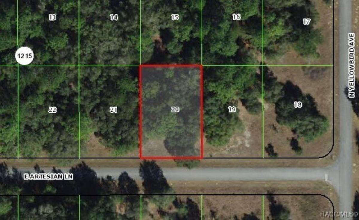 Picture of Residential Land For Sale in Citrus Springs, Florida, United States