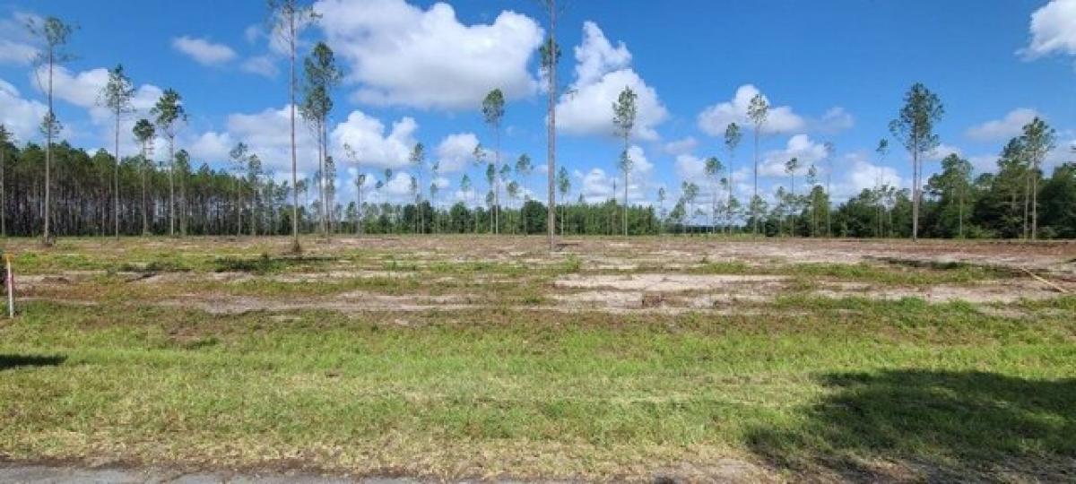 Picture of Residential Land For Sale in Live Oak, Florida, United States