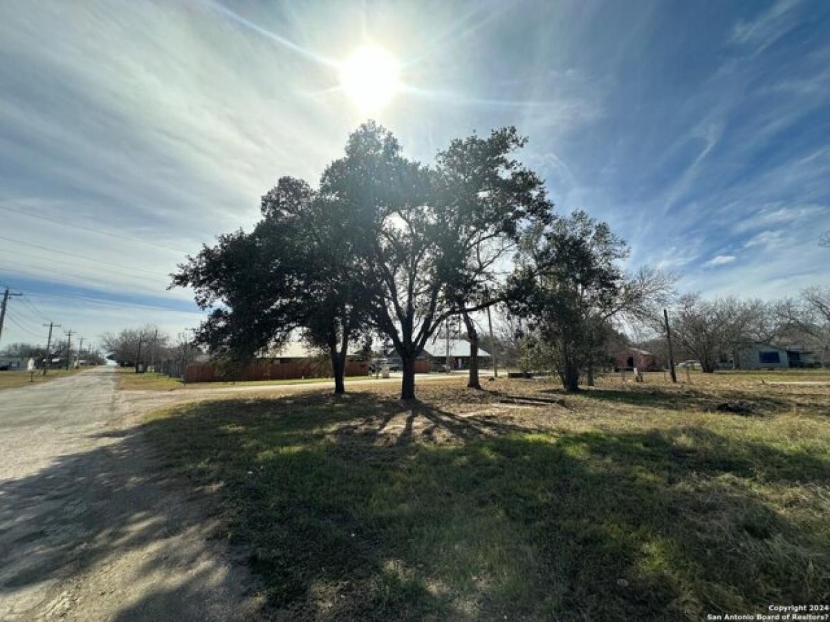 Picture of Residential Land For Sale in Jourdanton, Texas, United States