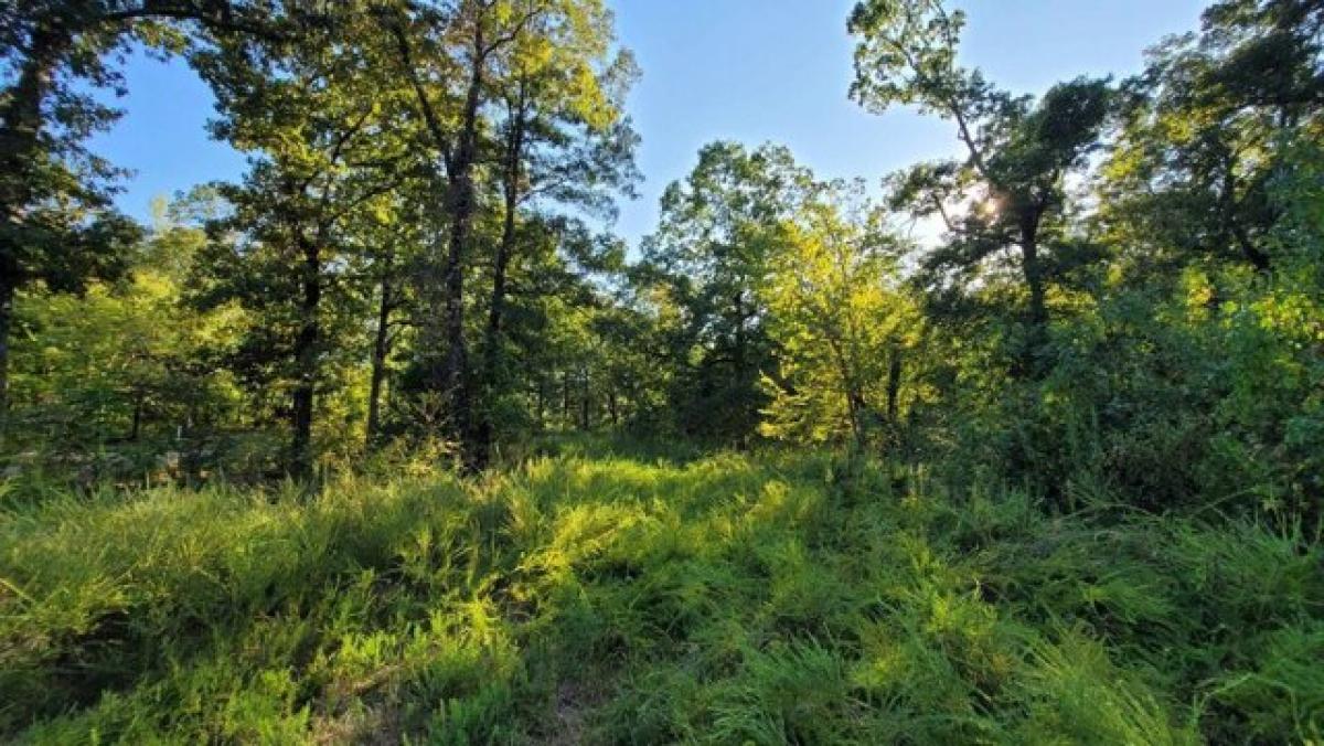 Picture of Residential Land For Sale in Parsons, Tennessee, United States