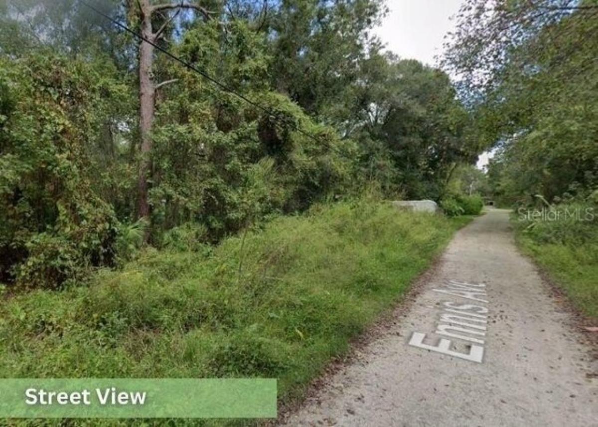 Picture of Residential Land For Sale in New Port Richey, Florida, United States