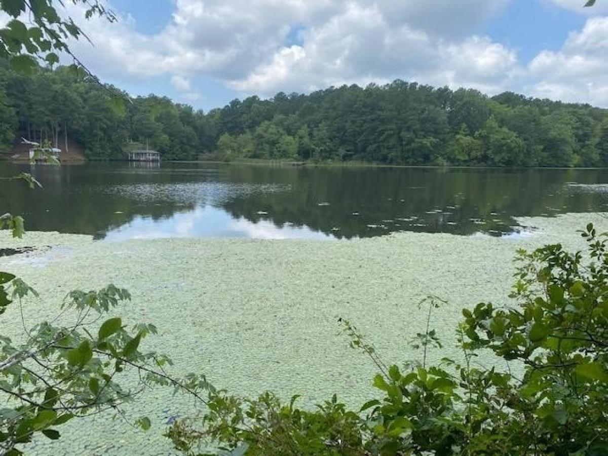 Picture of Residential Land For Sale in Gasburg, Virginia, United States