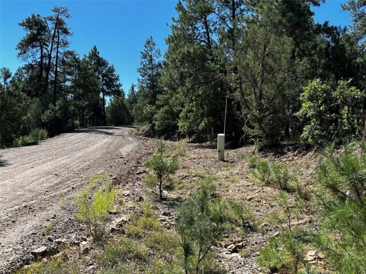 Picture of Residential Land For Sale in Los Ojos, New Mexico, United States