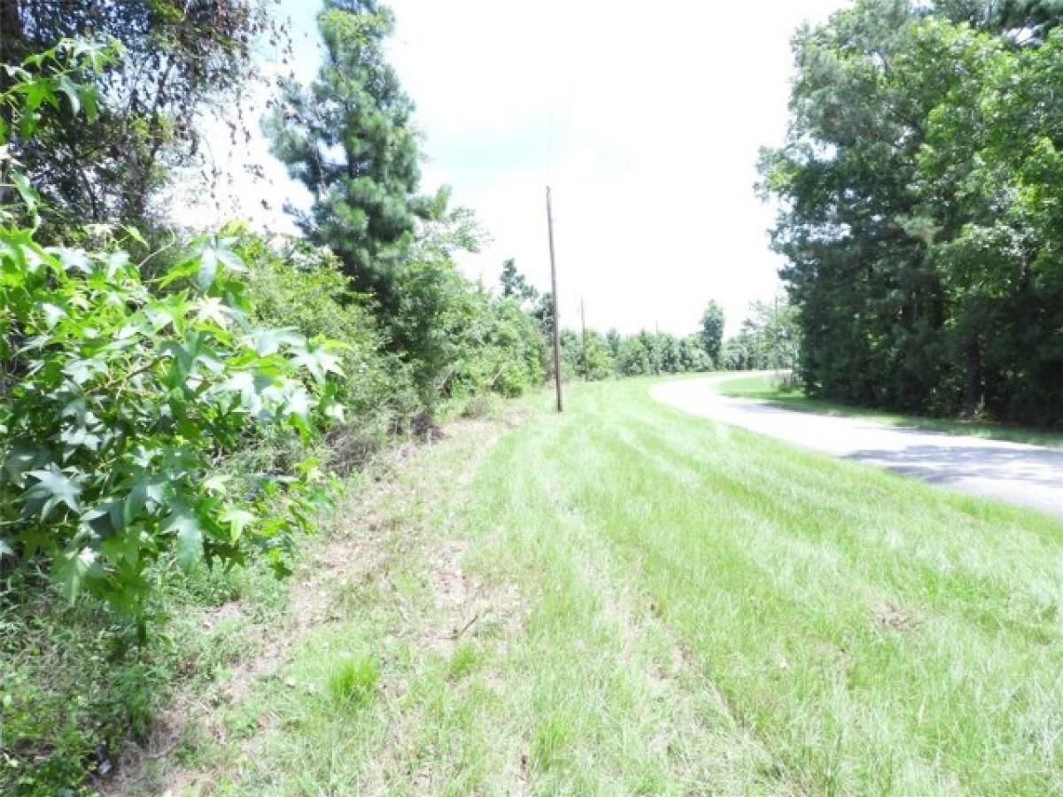 Picture of Residential Land For Sale in Coldspring, Texas, United States