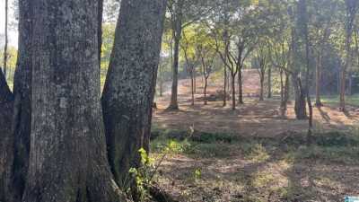 Residential Land For Sale in 