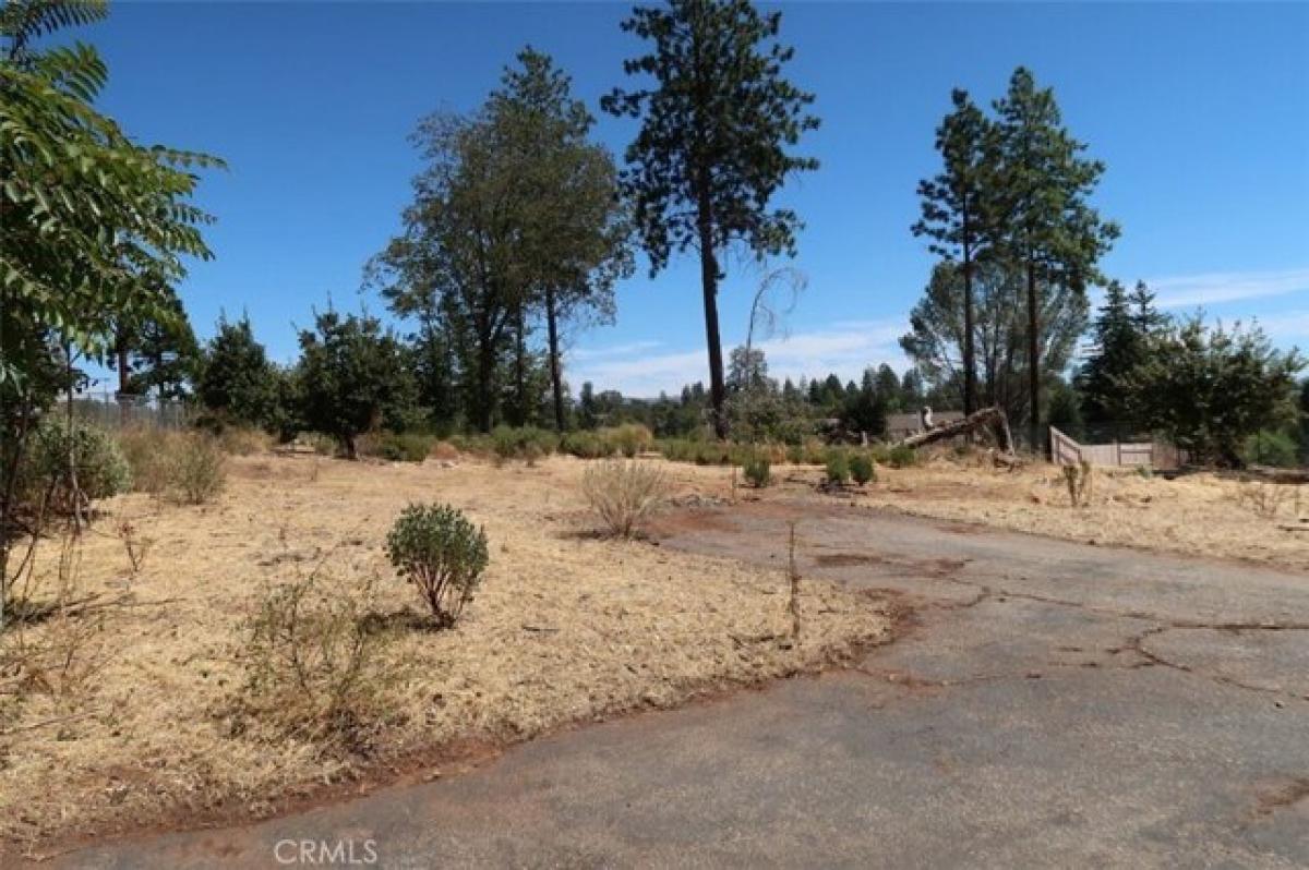 Picture of Residential Land For Sale in Paradise, California, United States