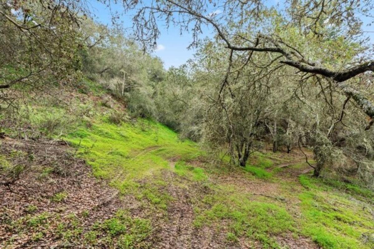 Picture of Residential Land For Sale in Watsonville, California, United States