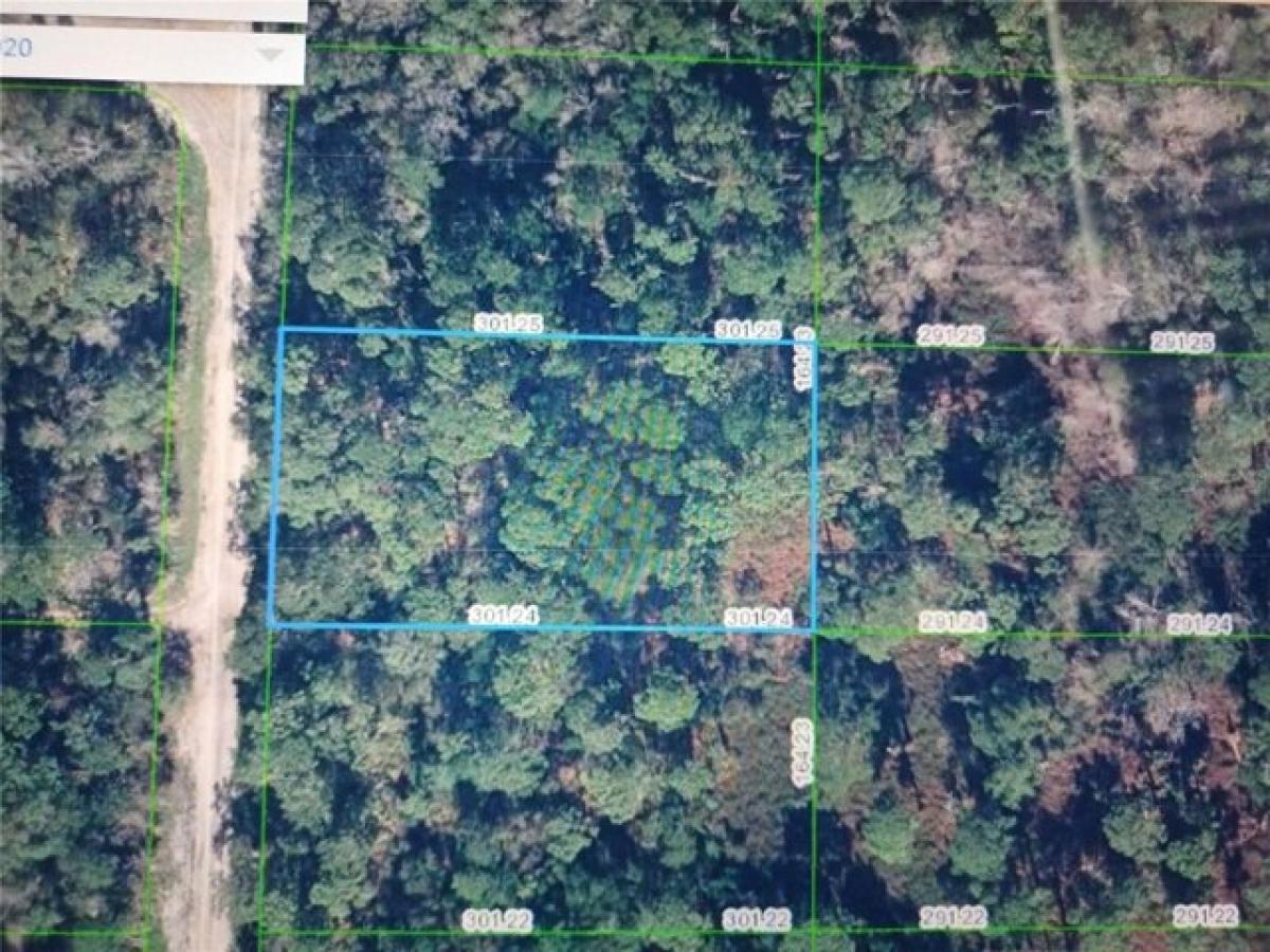 Picture of Residential Land For Sale in Avon Park, Florida, United States