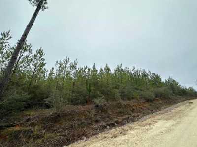 Residential Land For Sale in Caryville, Florida