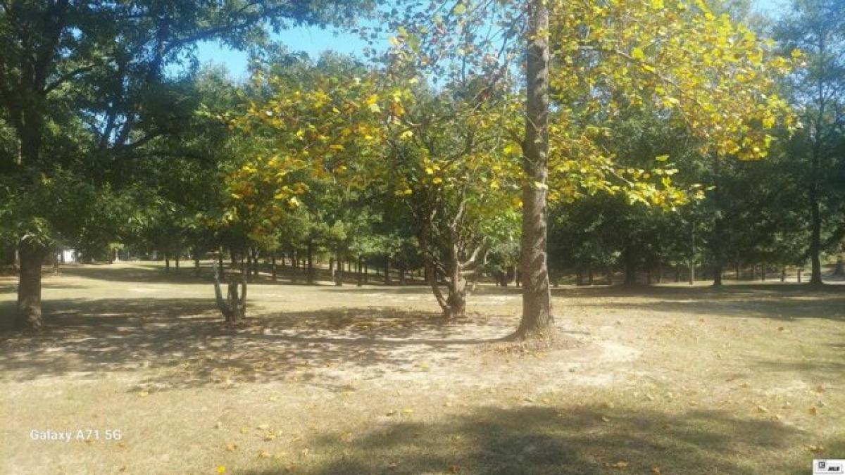 Picture of Residential Land For Sale in Marion, Louisiana, United States