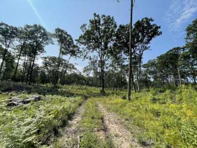 Residential Land For Sale in Remus, Michigan