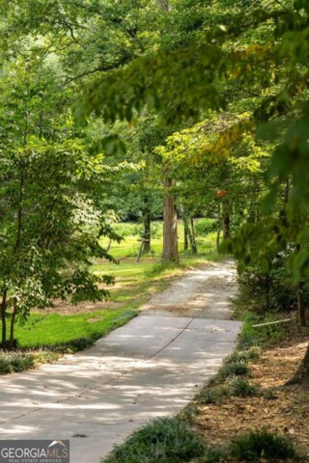 Picture of Residential Land For Sale in Ball Ground, Georgia, United States