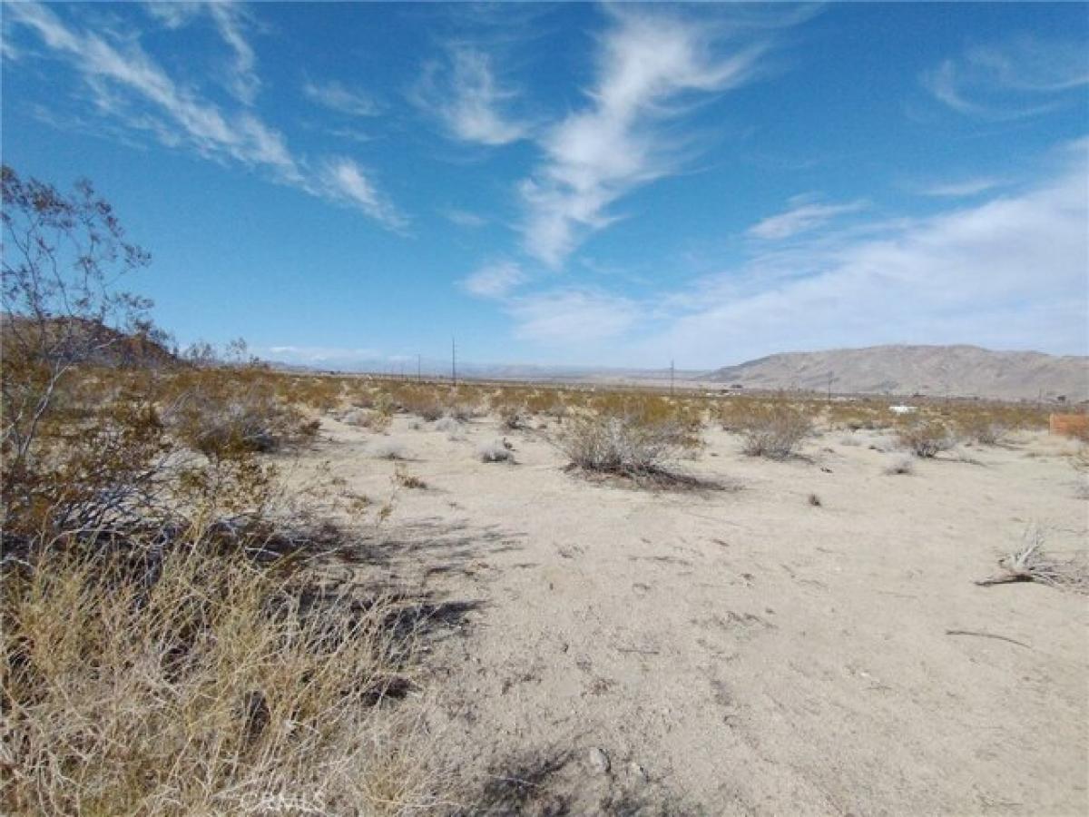 Picture of Residential Land For Sale in Twentynine Palms, California, United States