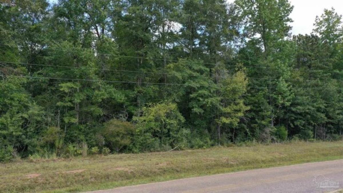 Picture of Residential Land For Sale in Jay, Florida, United States