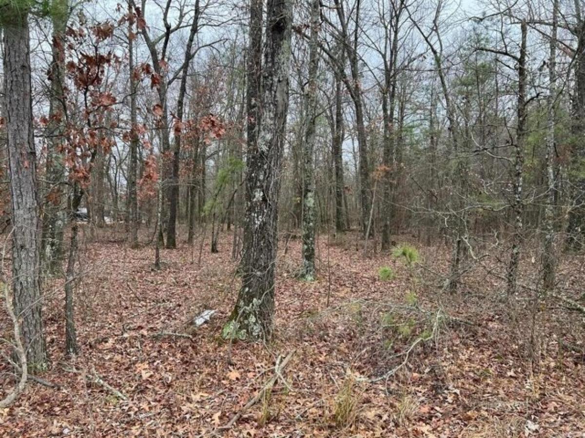 Picture of Residential Land For Sale in Pine Bluff, Arkansas, United States