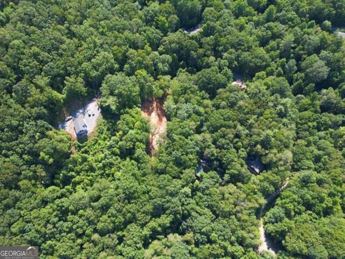 Picture of Residential Land For Sale in Mineral Bluff, Georgia, United States