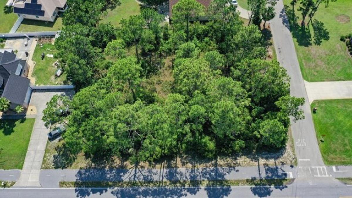 Picture of Residential Land For Sale in Port Saint Joe, Florida, United States