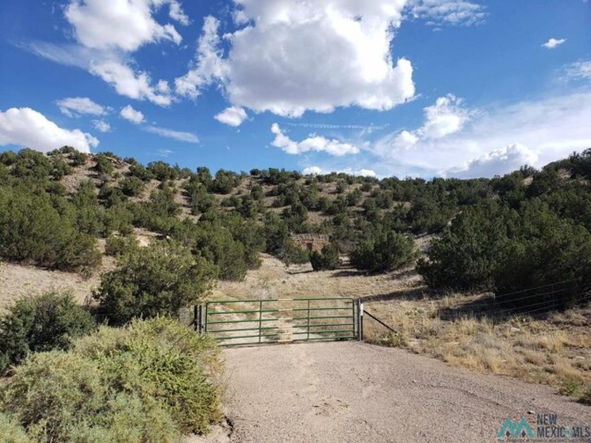 Picture of Residential Land For Sale in Cerrillos, New Mexico, United States