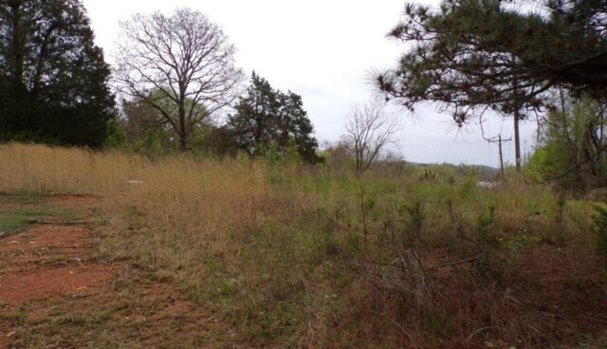 Picture of Residential Land For Sale in Linden, Tennessee, United States