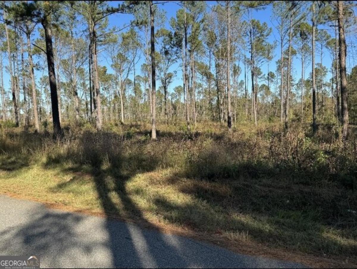 Picture of Residential Land For Sale in Macon, Georgia, United States