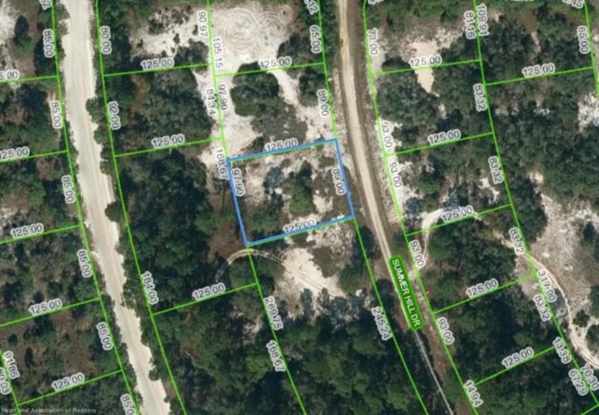 Picture of Residential Land For Rent in Lake Placid, Florida, United States