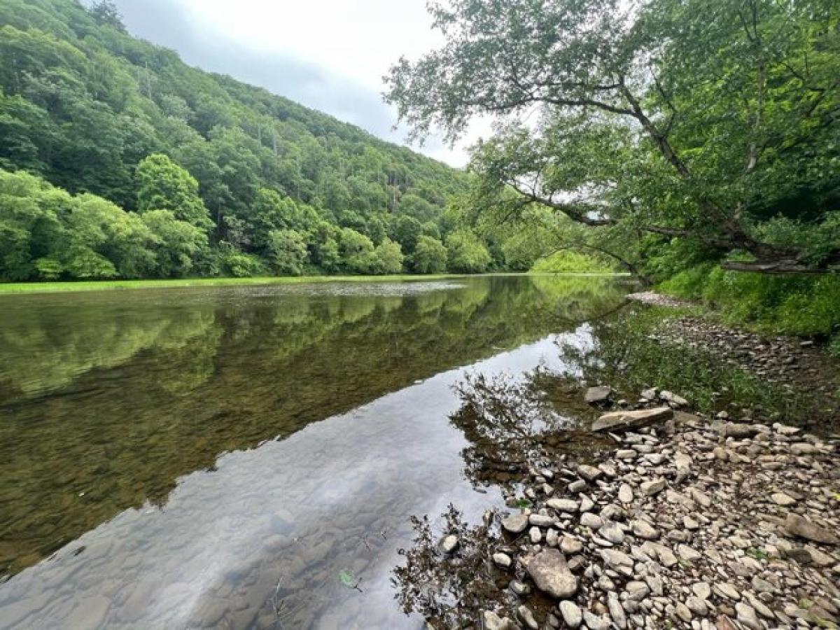 Picture of Residential Land For Sale in Buckeye, West Virginia, United States