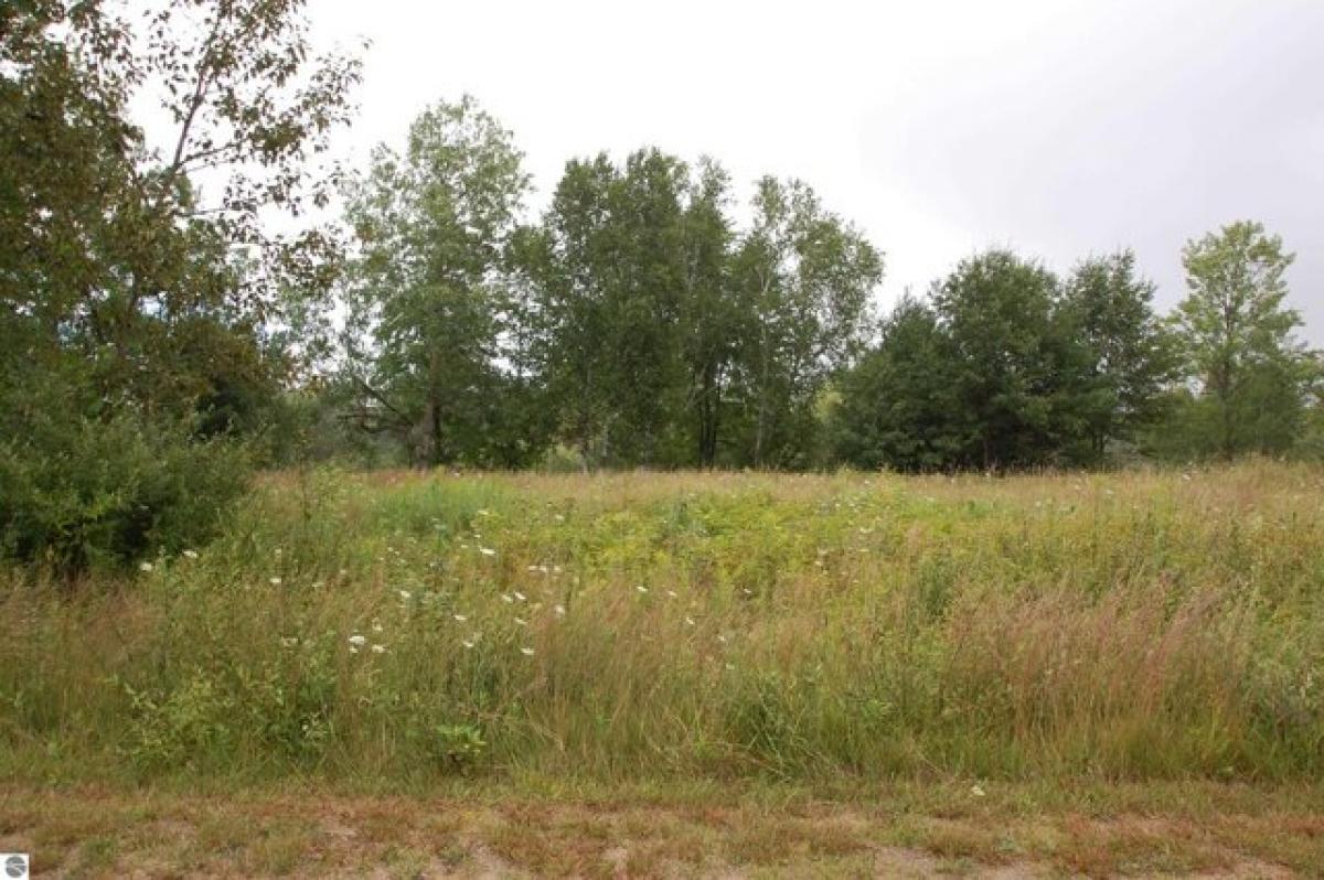 Picture of Residential Land For Sale in West Branch, Michigan, United States