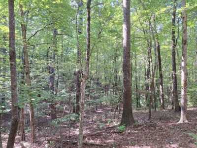 Residential Land For Sale in 