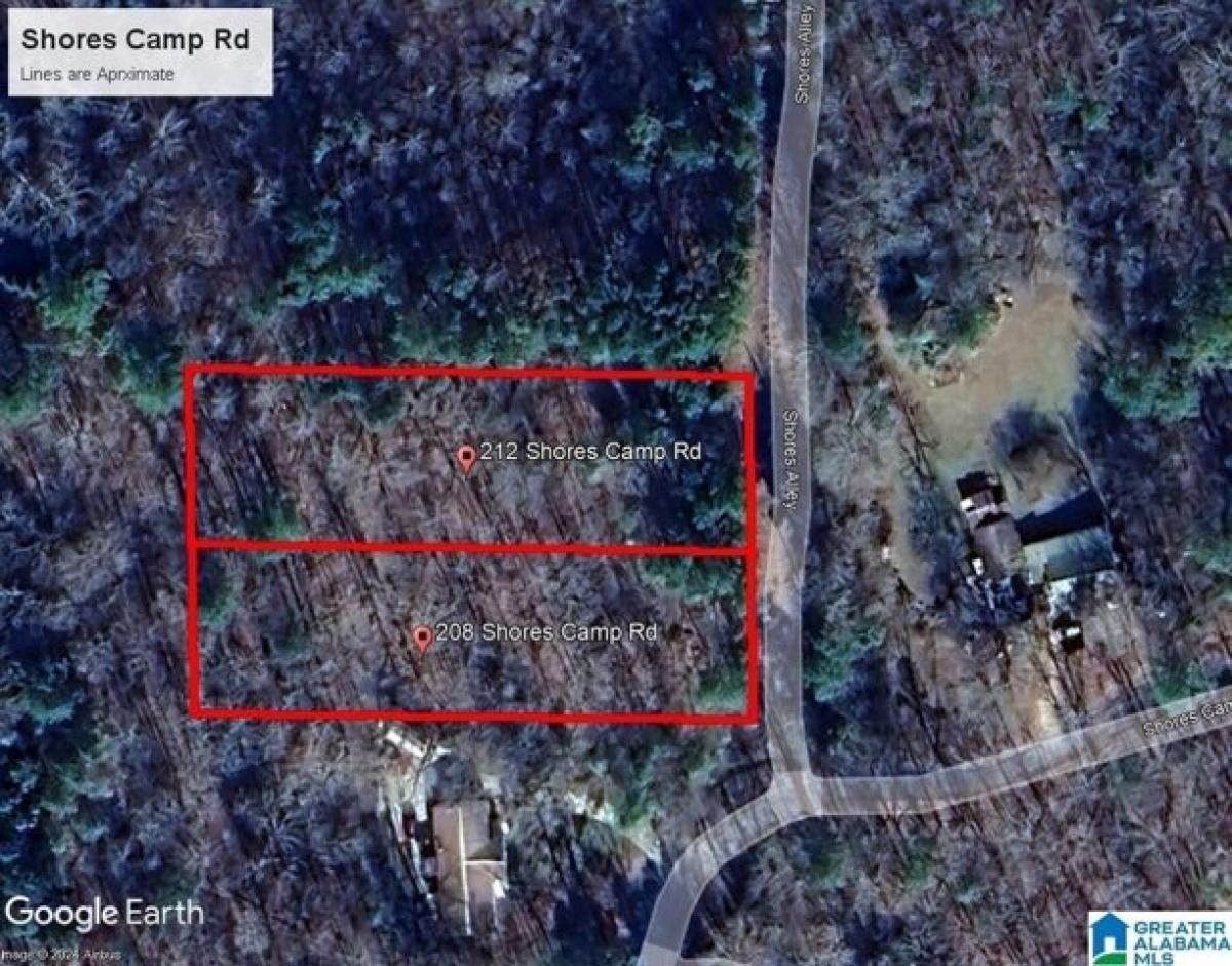 Picture of Residential Land For Sale in Adger, Alabama, United States