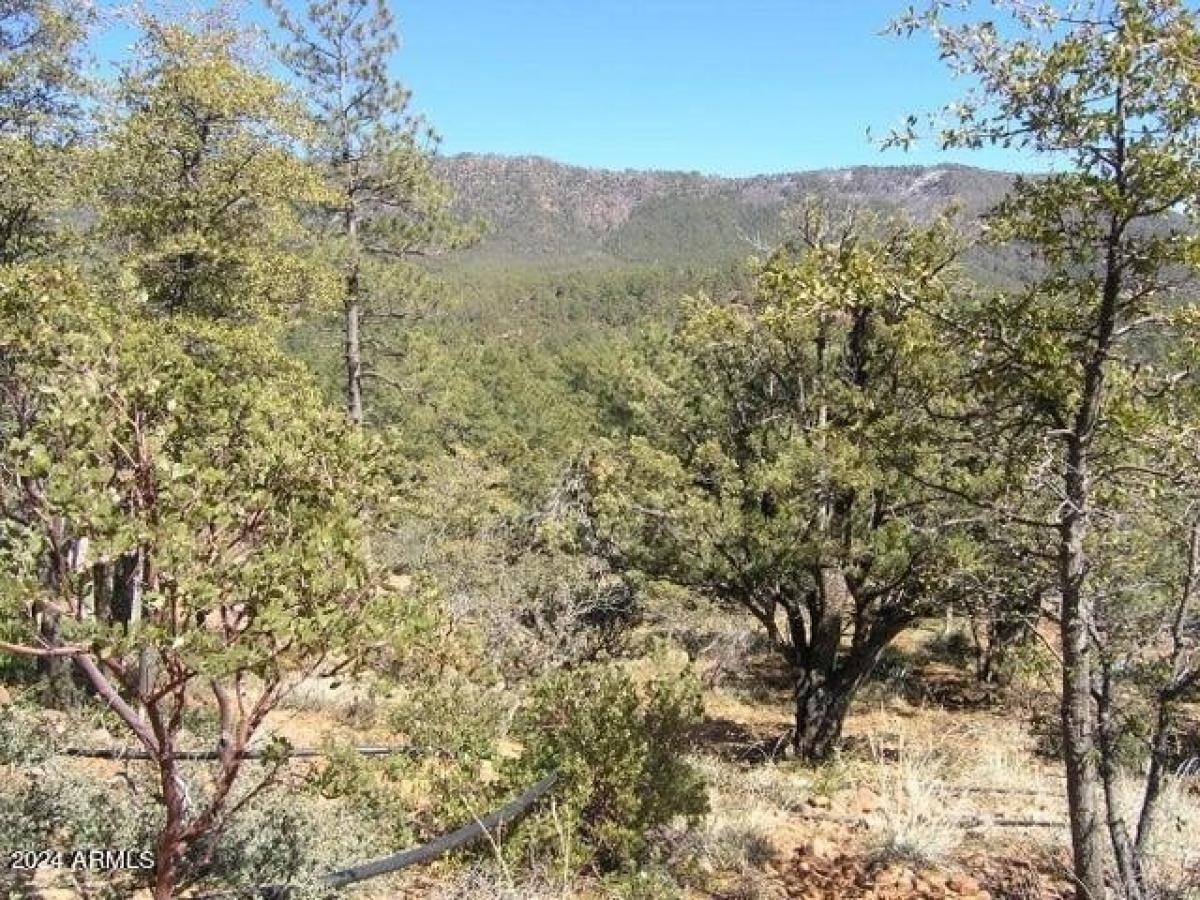 Picture of Residential Land For Sale in Pine, Arizona, United States