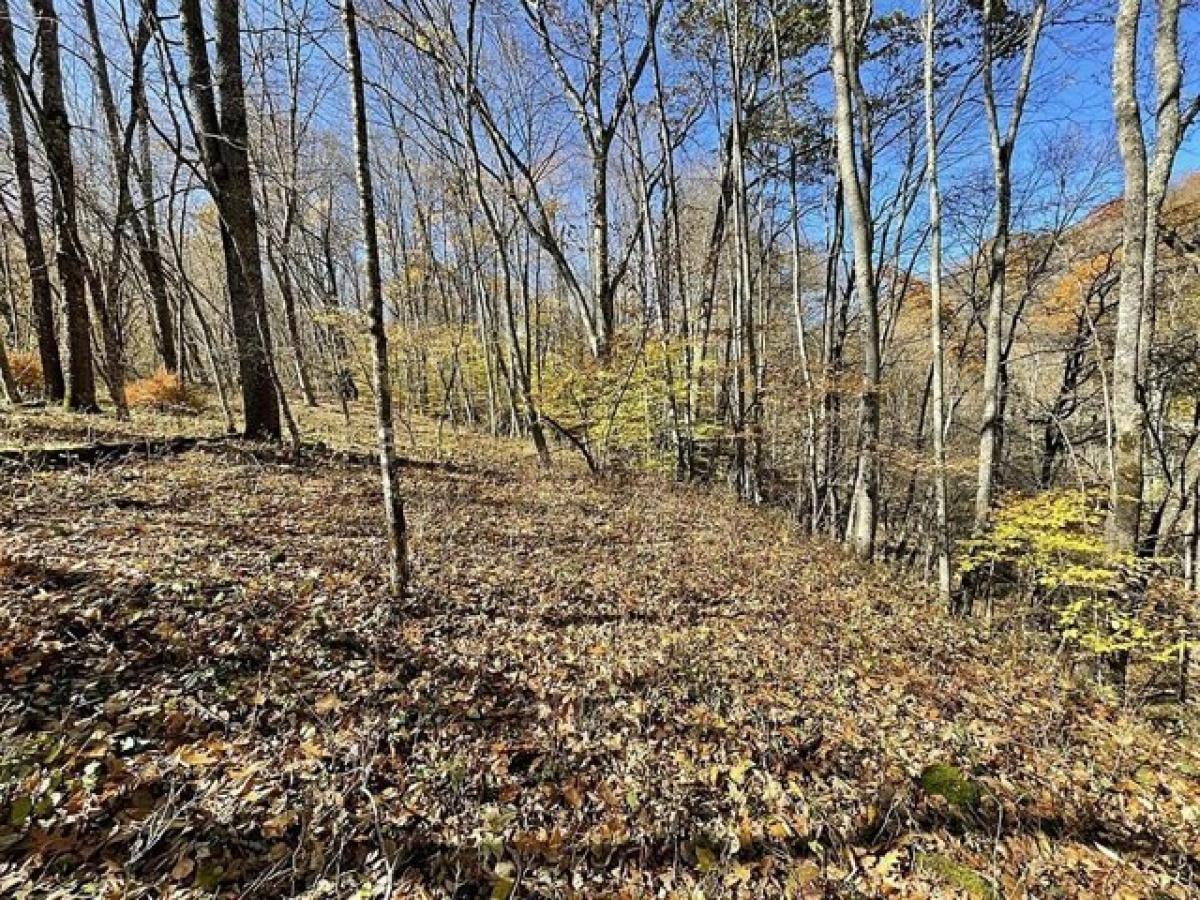 Picture of Residential Land For Sale in Slatyfork, West Virginia, United States