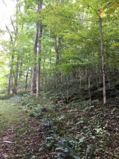 Residential Land For Sale in Hillsboro, West Virginia