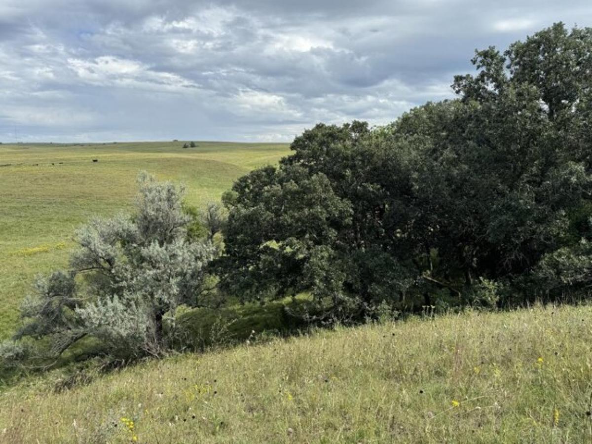 Picture of Residential Land For Sale in Britton, South Dakota, United States