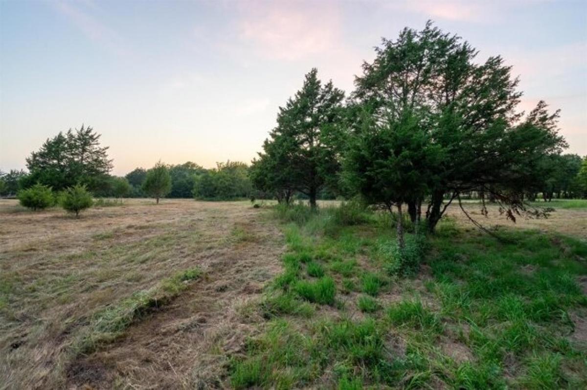 Picture of Residential Land For Sale in Terrell, Texas, United States