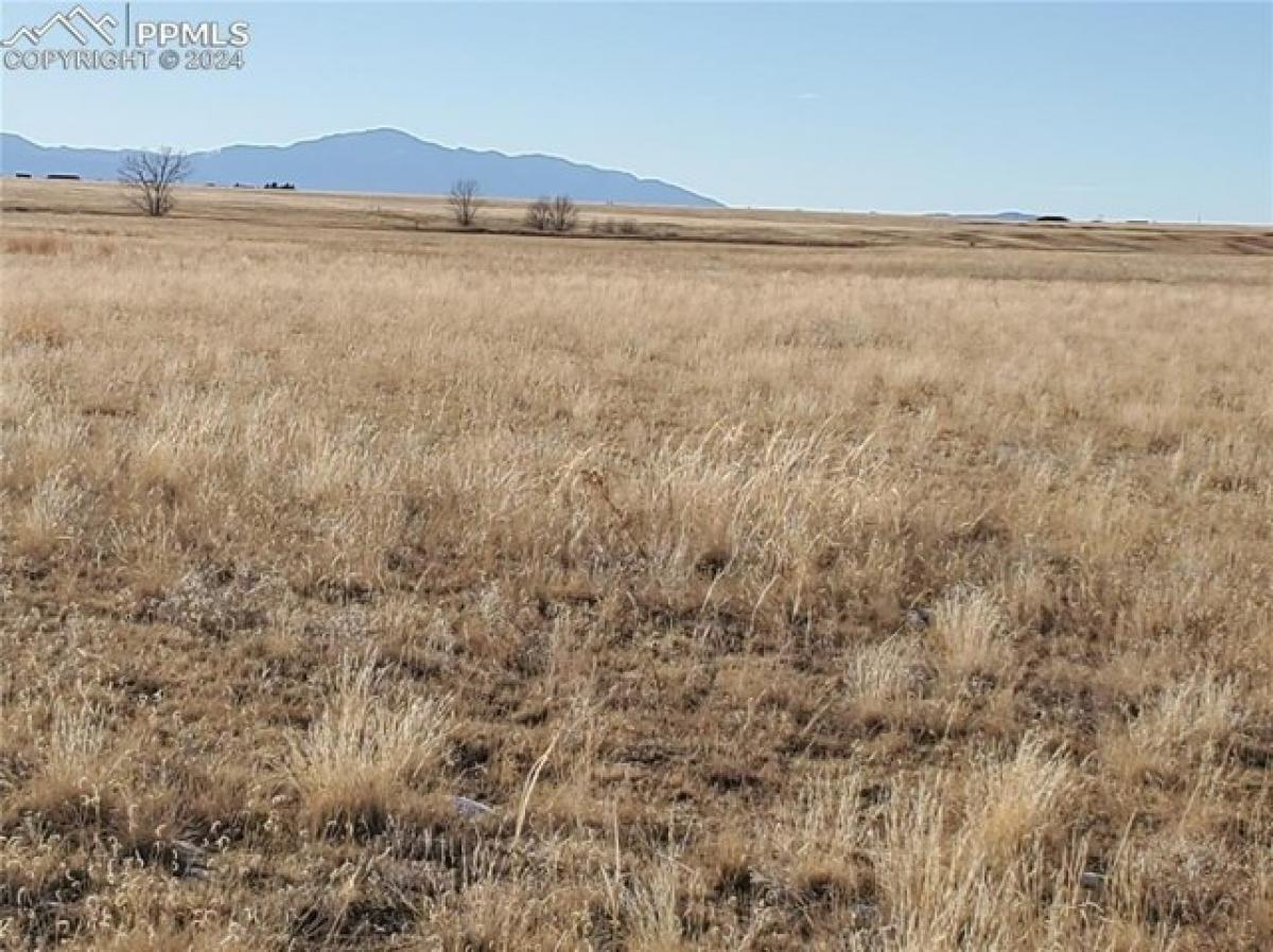 Picture of Residential Land For Sale in Colorado Springs, Colorado, United States