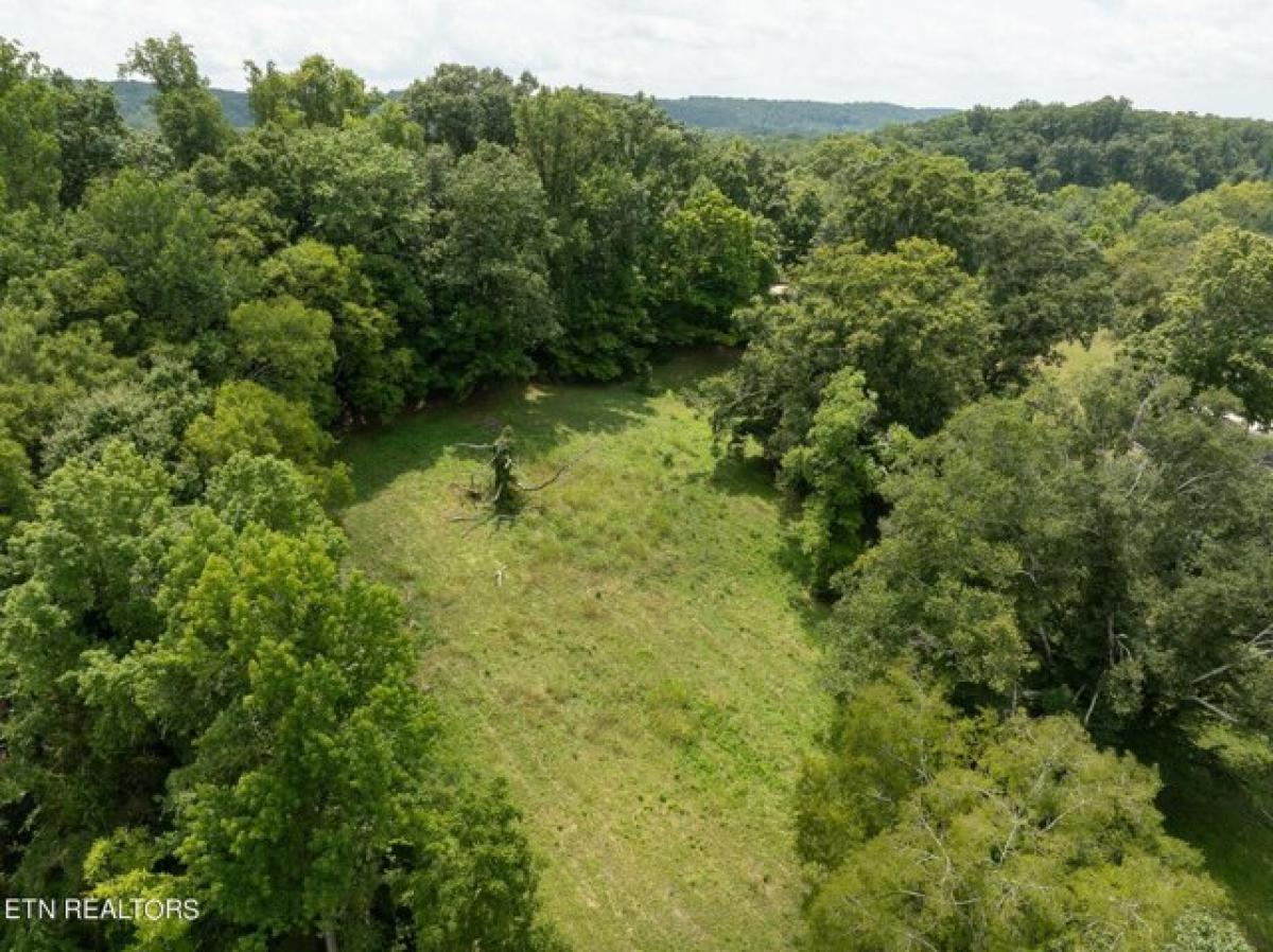 Picture of Residential Land For Sale in Lenoir City, Tennessee, United States