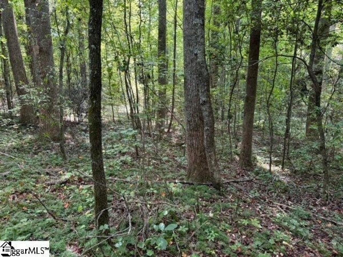 Picture of Residential Land For Sale in Taylors, South Carolina, United States